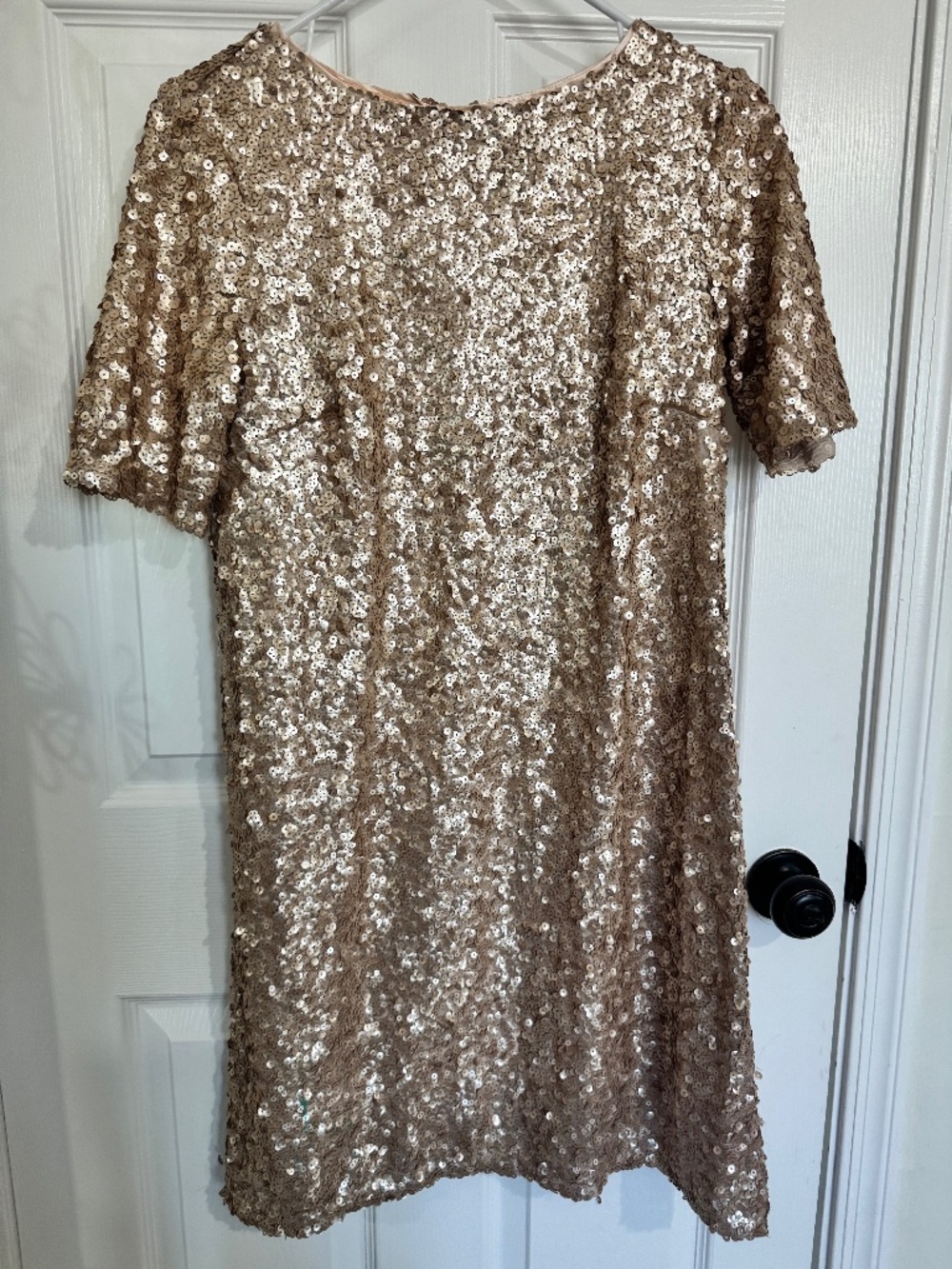 Sangria Champagne paillettes Dress
